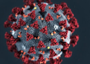 CORONAVIRUS. Terceira onda vem antes do esperado e será devastadora no Brasil