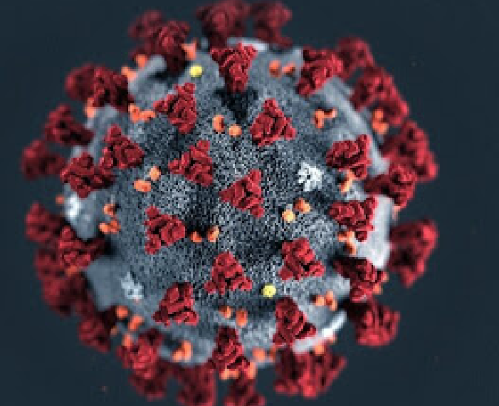 CORONAVIRUS. Terceira onda vem antes do esperado e será devastadora no Brasil