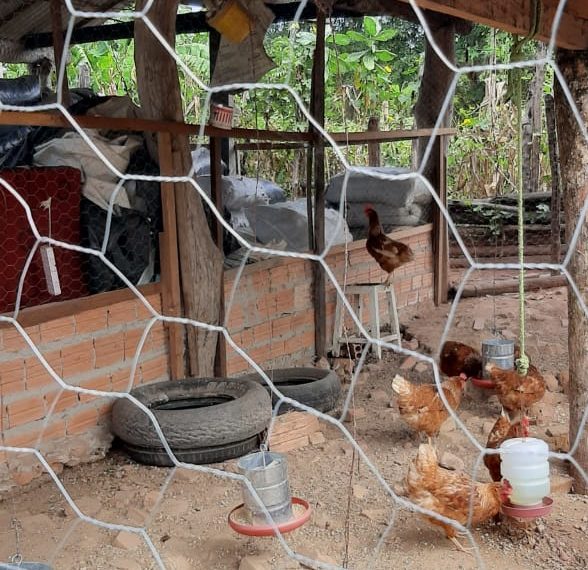 A Prefeitura Municipal de José de Freitas, vem fortalecendo a agricultura familiar.