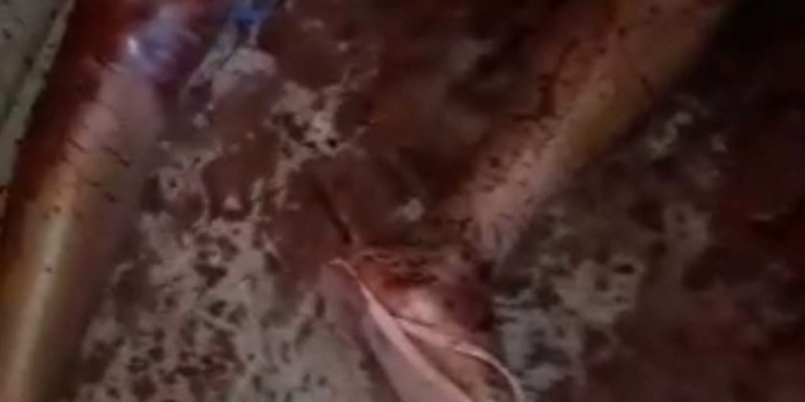 TRAGÉDIA: Homem mata esposa e tenta suicídio.
