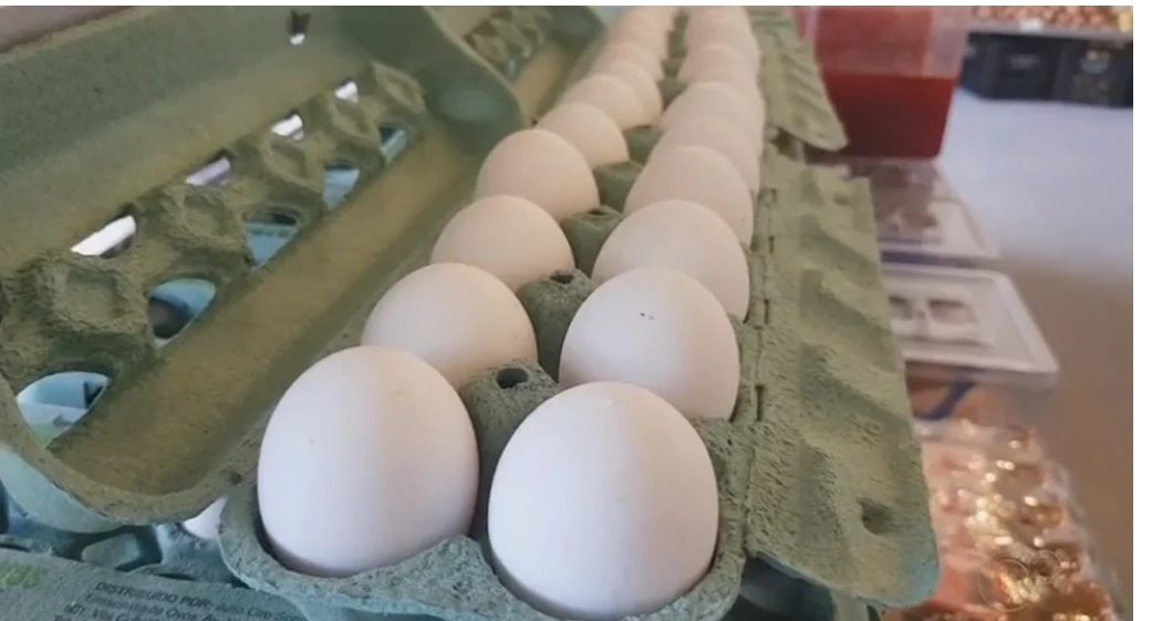 Ovo, frango e carne suína ficarão mais caros este mês; veja o reajuste