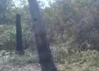Homem tem corpo queimado e membro amputado por descarga elétrica em José de Freitas