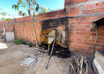Morre criança que teve 65% do corpo queimado durante brincadeira no Piauí