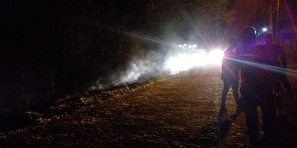 Princípio de incêndio no parque florestal em José de Freitas
