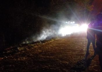 Princípio de incêndio no parque florestal em José de Freitas