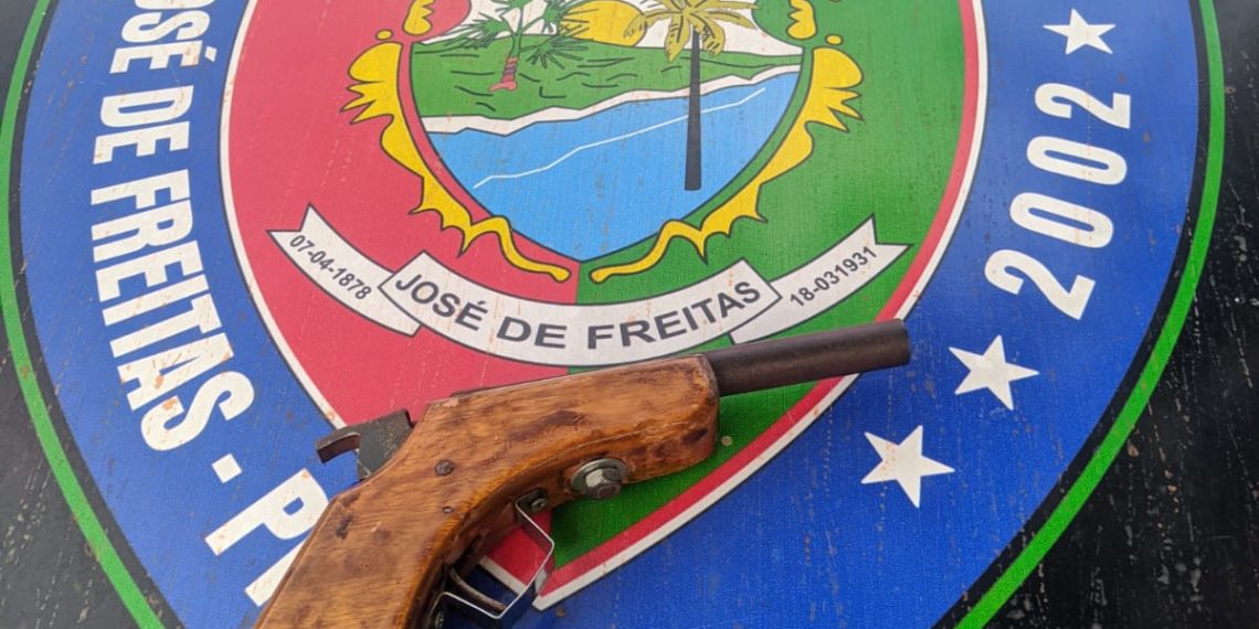 Homem é preso com arma de fogo em José de Freitas