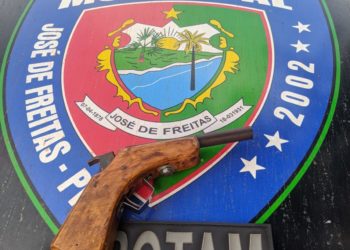 Homem é preso com arma de fogo em José de Freitas