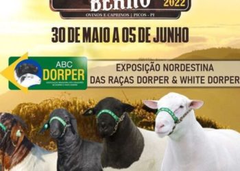 VII edição do Picos Fest Berro inicia na segunda (30)