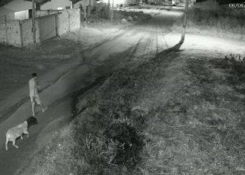câmera de segurança flagra homem furtando um carneiro em José de Freitas