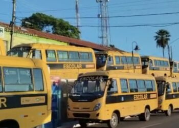 Secretaria Municipal de Educação recebe novos veículos para o  transporte escolar