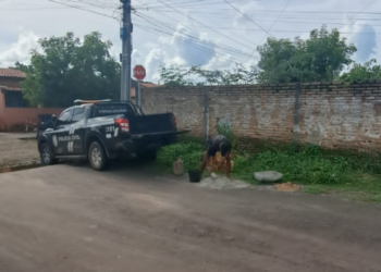 Assaltantes invadem Delegacia de Polícia Civil e furtam duas motocicletas em Altos (PI)