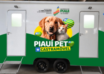 Governo do Estado lança projeto Piauí Pet Castramóvel no dia 5 de junho