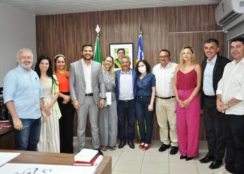 Seduc e Uespi alinham oferta de novos cursos de ensino à distância no Piauí