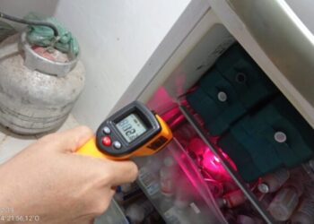 Adapi apreende vacinas armazenadas em temperatura inadequada em Bom Jesus