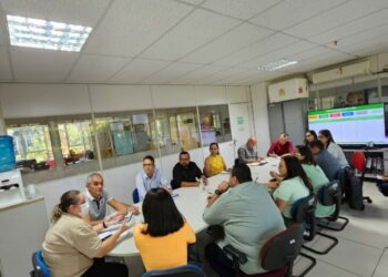 Sesapi reúne órgãos de vigilância para elaborar ações de prevenção à gripe aviária