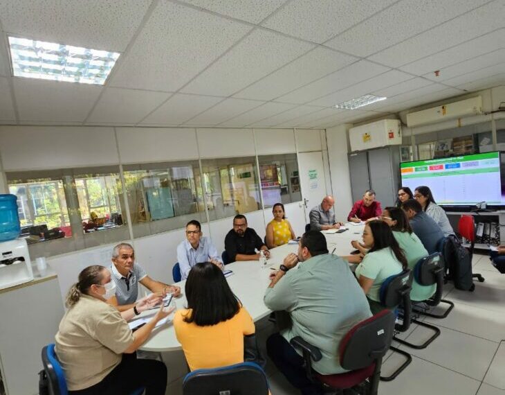 Sesapi reúne órgãos de vigilância para elaborar ações de prevenção à gripe aviária
