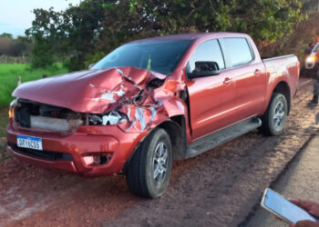 Dois cavalos morrem e três pessoas ficam feridas no dia do vaqueiro em José de Freitas