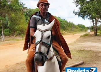 Vaqueiro morre ao ser picado por escorpião em São João do Arraial