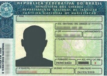 Como consultar a CNH pelo Gov.Pi Cidadão sem enfrentar filas