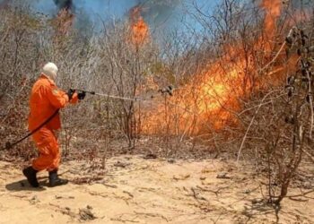 Órgãos do Estado intensificam ações para evitar queimadas e orientar população sobre riscos de incêndios