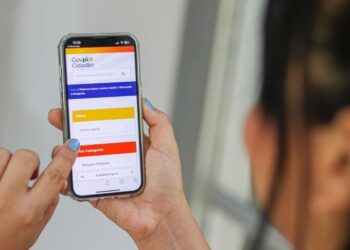 Passo a Passo: Como usar os serviços do Gov.Pi Cidadão na área da educação
