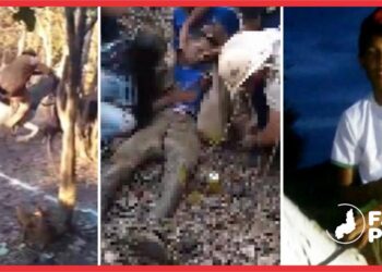 Jovem de 16 anos morre após cair de cavalo durante ‘pega de boi na moita’ no Piauí