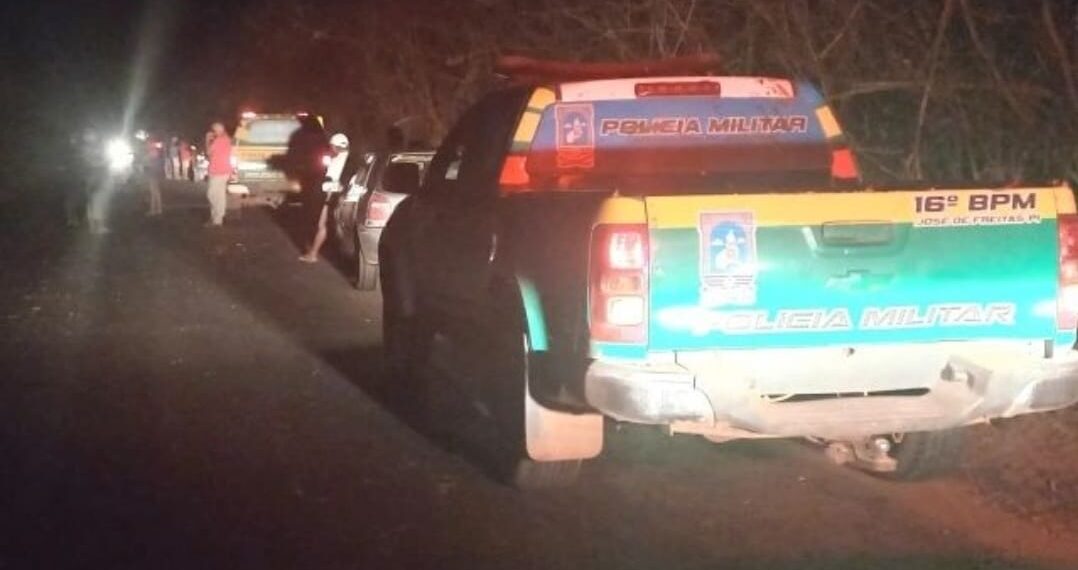 Bovino causa acidente e é atacado com golpes de facão por um homem na PI-113 .
