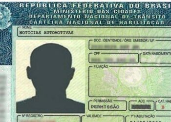 Como renovar a CNH de forma on-line pelo Gov.pi Cidadão