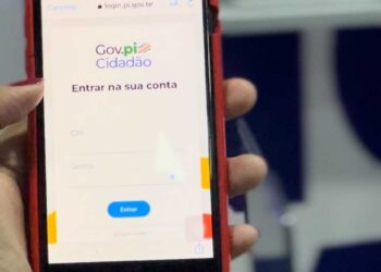 Estudantes podem acessar boletim escolar pelo Gov.pi Cidadão de forma online