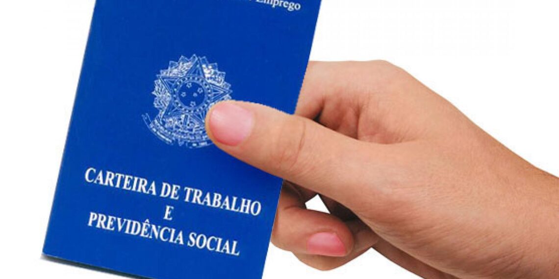 Piauí ocupa 1ª posição no ranking nacional de geração de empregos em 2023