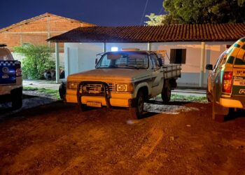Polícia Militar prende homem suspeito de furta caminhonete em José de Freitas