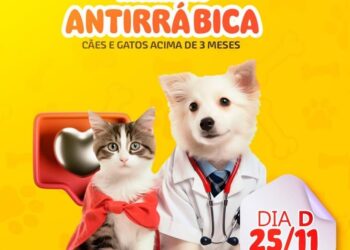 Vacinação antirrábica acontece neste sábado (25/11) em José de Freitas