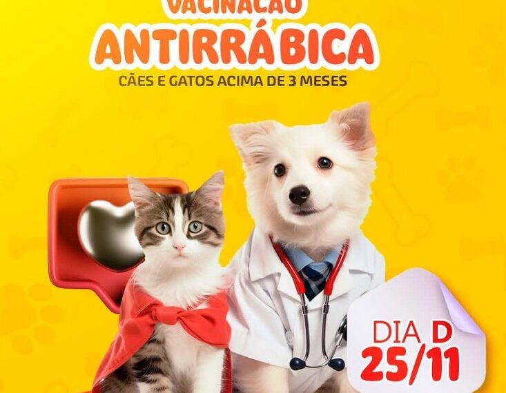 Vacinação antirrábica acontece neste sábado (25/11) em José de Freitas