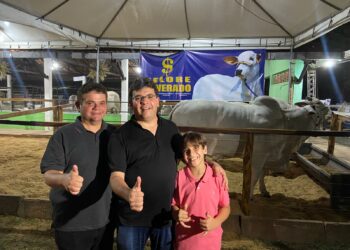 Governador destaca importância cultural e econômica da 72ª Expoapi,