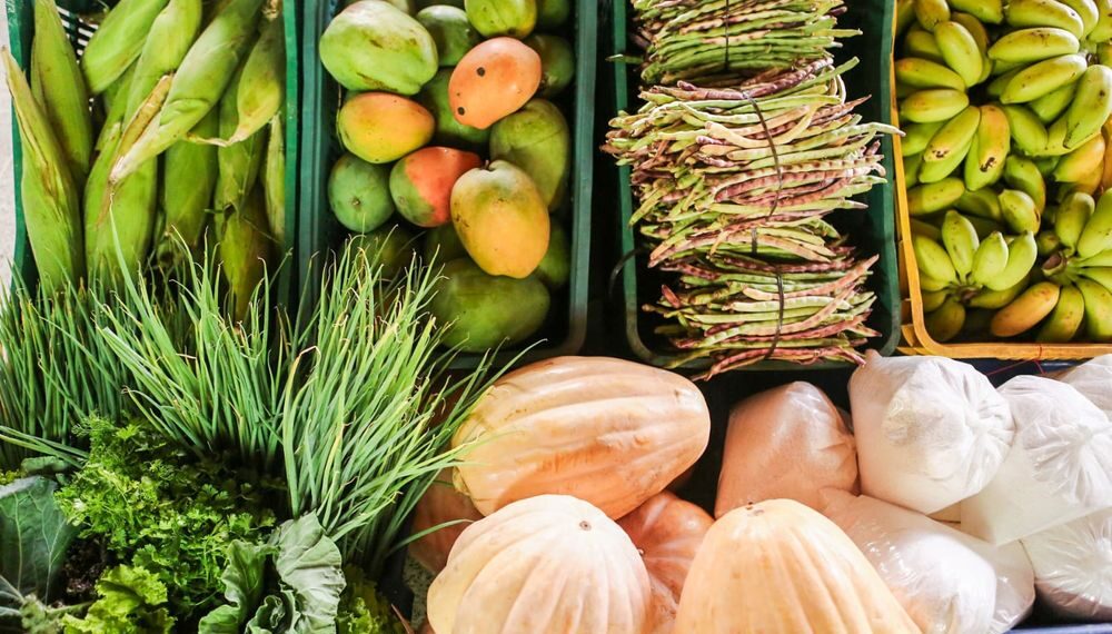 SAF entrega cinco toneladas de alimentos para 10 entidades socioassistenciais