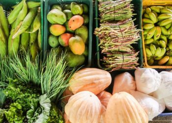 SAF entrega cinco toneladas de alimentos para 10 entidades socioassistenciais
