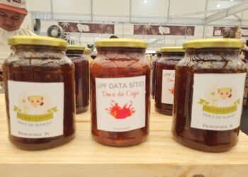 Adapi regulamenta certificação de produtos artesanais de origem vegetal