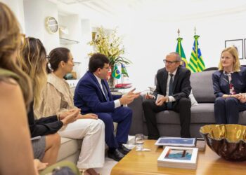 Governador recebe embaixador da Áustria no Palácio de Karnak e apresenta potencialidades em energia limpa e turismo