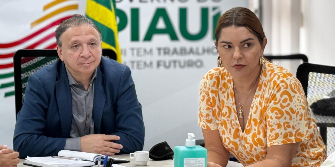 Codin aprova instalação de 3 novas indústrias no Piauí, com investimentos de R$ 13,5 milhões