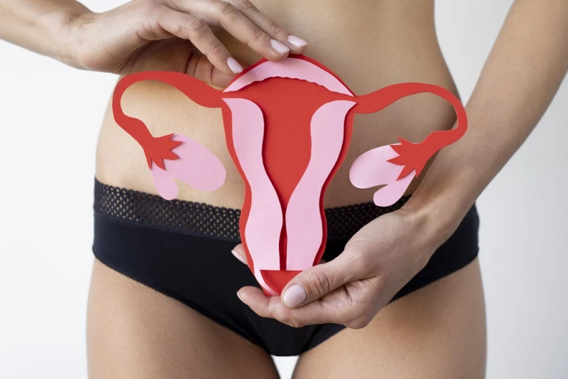 Licença menstrual para servidoras do Piauí é proposto na Alepi