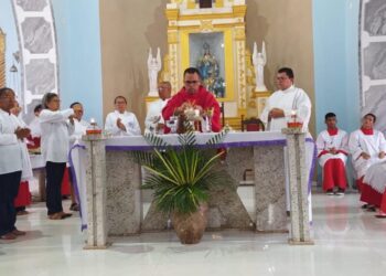 Igreja Católica Celebra Neste Domingo (24) a Bênção com Procissão dos Ramos