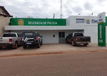 Homem que atacou cunhado com golpes de facão é preso em José de Freitas