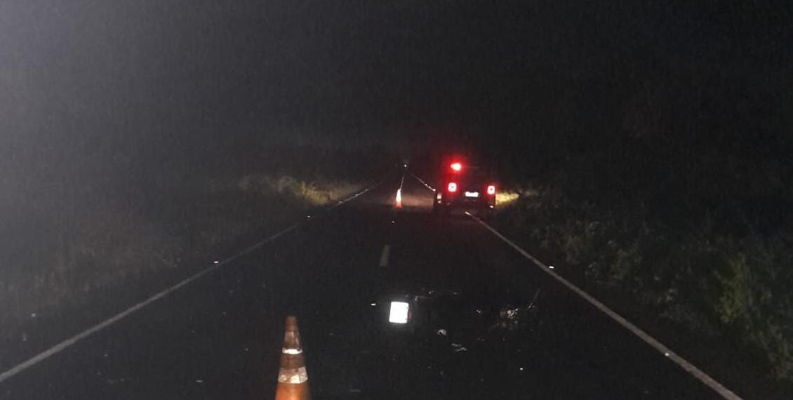 Homem morre ao colidir sua motocicleta em um bovino na PI-113 em José de Freitas