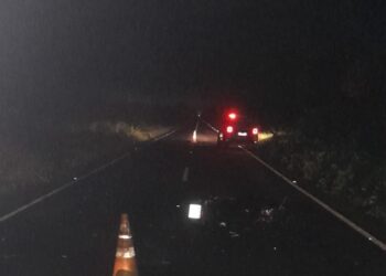 Homem morre ao colidir sua motocicleta em um bovino na PI-113 em José de Freitas