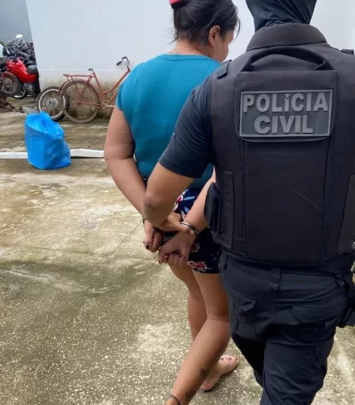 Mulher é presa em flagrante arremessando bolsa com drogas em José de Freitas