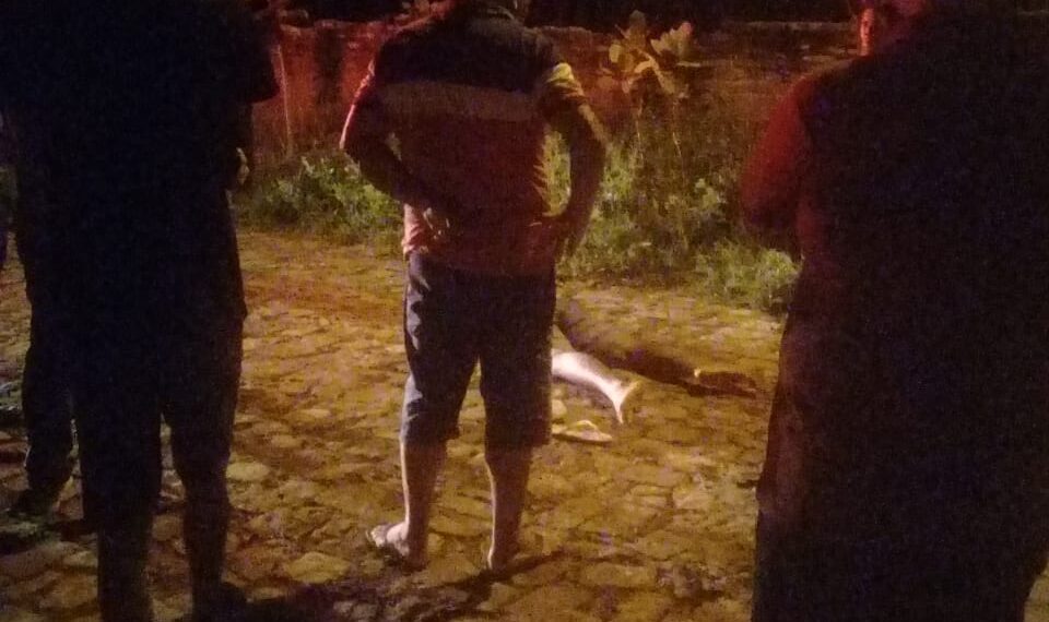 Jovem de 20 anos é assassinado a tiros em um bairro da cidade de José de Freitas
