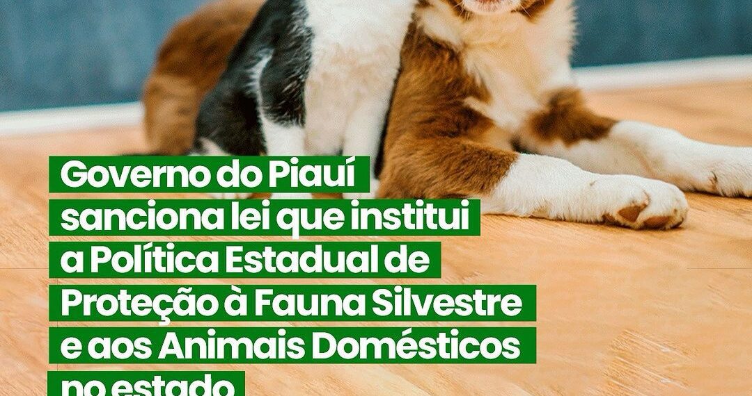 Governador sanciona lei de proteção à fauna silvestre e a animais domésticos no Piauí