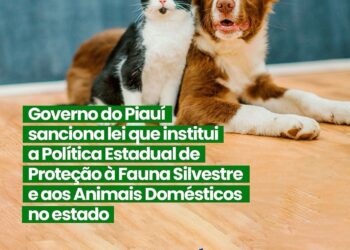Governador sanciona lei de proteção à fauna silvestre e a animais domésticos no Piauí