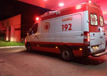Dois acidentes envolvendo animais na PI-113 em José de Freitas deixa três pessoas feridas