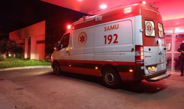 Dois acidentes envolvendo animais na PI-113 em José de Freitas deixa três pessoas feridas